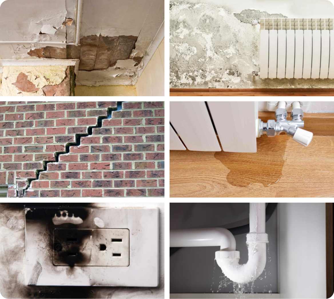 Examples of Housing Disrepair claims, given by The Brief Claims.